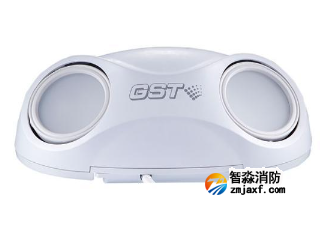 HW-ZFJC-E6W-N631集中電源集中控制型消防應急照明燈具