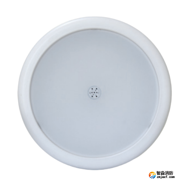 海灣HW-ZFJC-E9W-N657SG集中電源集中控制型消防應急照明燈具