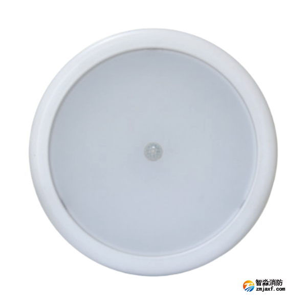 海灣HW-ZFJC-E9W-N657HW集中電源集中控制型消防應急照明燈具